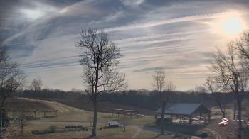 Weather camera view of Dodon Vineyards.
