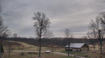 Weather camera view of Dodon Vineyards.