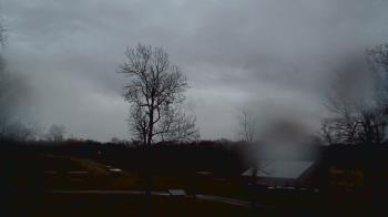 Weather camera view of Dodon Vineyards.