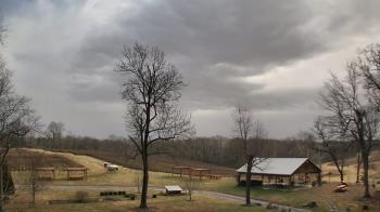 Weather camera view of Dodon Vineyards.