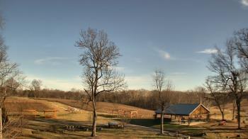 Weather camera view of Dodon Vineyards.