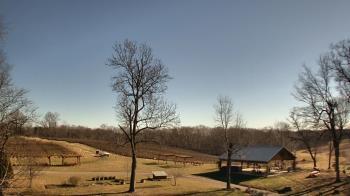 Weather camera view of Dodon Vineyards.