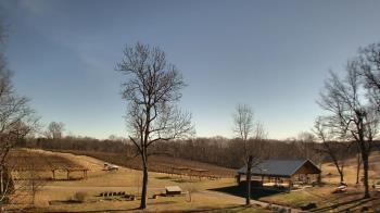Weather camera view of Dodon Vineyards.