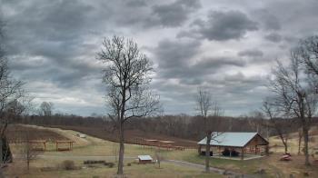 Weather camera view of Dodon Vineyards.