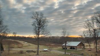 Weather camera view of Dodon Vineyards.