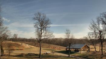 Weather camera view of Dodon Vineyards.