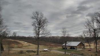 Weather camera view of Dodon Vineyards.