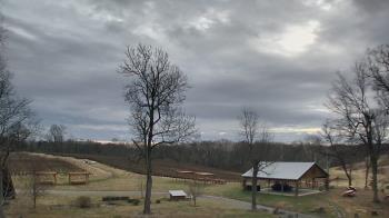 Weather camera view of Dodon Vineyards.