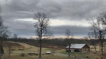 Weather camera view of Dodon Vineyards.