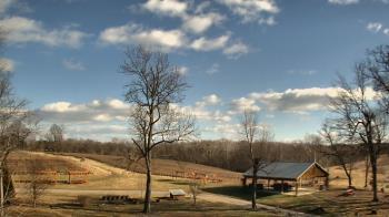 Weather camera view of Dodon Vineyards.