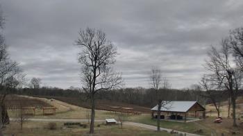 Weather camera view of Dodon Vineyards.