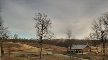 Weather camera view of Dodon Vineyards.