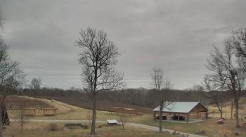 Weather camera view of Dodon Vineyards.