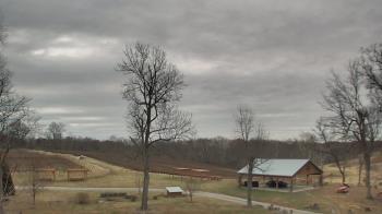 Weather camera view of Dodon Vineyards.