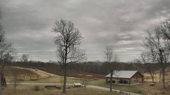 Weather camera view of Dodon Vineyards.