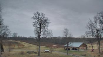 Weather camera view of Dodon Vineyards.