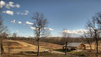 Weather camera view of Dodon Vineyards.