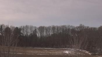 Weather camera view of Mary of Nazareth School.