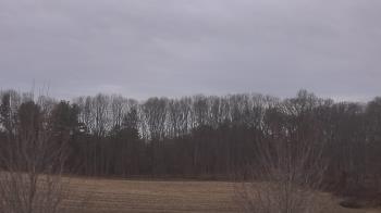 Weather camera view of Mary of Nazareth School.