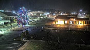 Weather camera view of Erwin Town Hall.