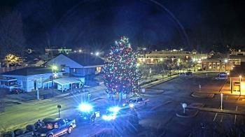 Weather camera view of Erwin Town Hall.