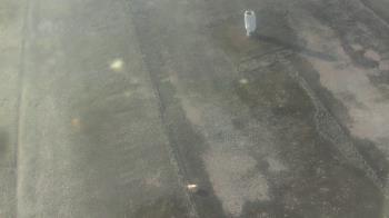 Weather camera view of Fox Trail ES.