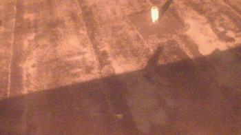 Weather camera view of Fox Trail ES.