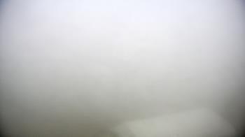 Weather camera view of Moody Gardens Inc..