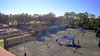 Weather camera view of Grey Oaks Country Club.