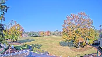 Weather camera view of Houston Country Club.
