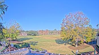 Weather camera view of Houston Country Club.