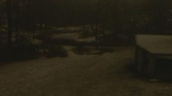 Weather camera view of Wildwood Park.