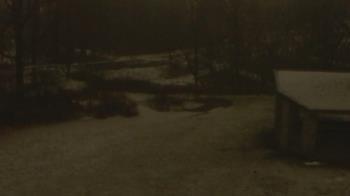 Weather camera view of Wildwood Park.