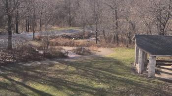 Weather camera view of Wildwood Park.