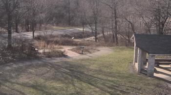Weather camera view of Wildwood Park.
