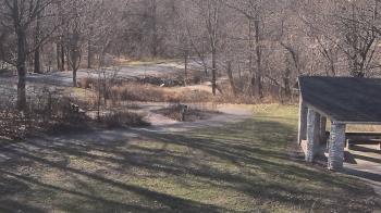 Weather camera view of Wildwood Park.
