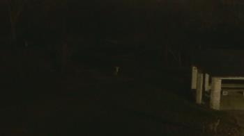 Weather camera view of Wildwood Park.