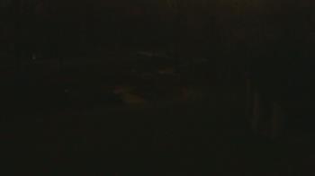 Weather camera view of Wildwood Park.