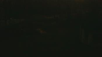 Weather camera view of Wildwood Park.