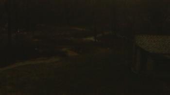 Weather camera view of Wildwood Park.