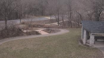 Weather camera view of Wildwood Park.