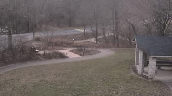 Weather camera view of Wildwood Park.