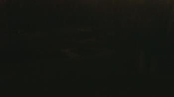 Weather camera view of Wildwood Park.