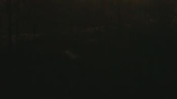 Weather camera view of Wildwood Park.