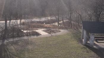 Weather camera view of Wildwood Park.