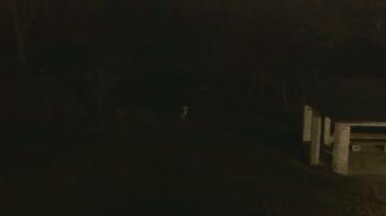 Weather camera view of Wildwood Park.