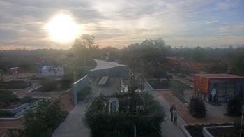 Weather camera view of Houston Botanic Garden.