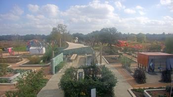 Weather camera view of Houston Botanic Garden.
