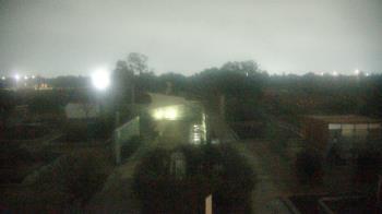 Weather camera view of Houston Botanic Garden.