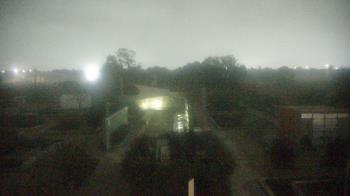 Weather camera view of Houston Botanic Garden.